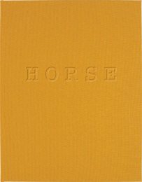 Jitka Hanzlova: Horse
