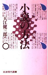 小説の方法 (岩波現代選書)