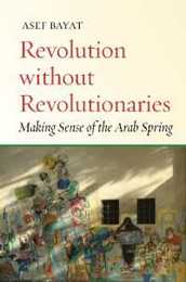 Revolution without Revolutionaries: Making Sense of the Arab Spring (Stanford Studies in Middle Eastern and Islamic Societies and Cultures)