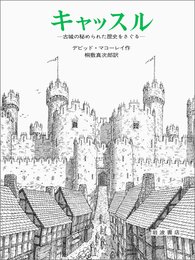 キャッスル: 古城の秘められた歴史をさぐる