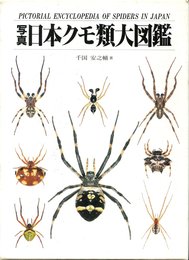 写真・日本クモ類大図鑑