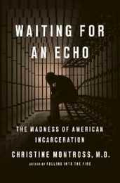 Waiting for an Echo: The Madness of American Incarceration