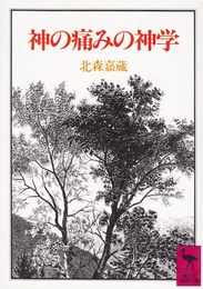 神の痛みの神学 (講談社学術文庫 743)