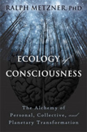Ecology of Consciousness: The Alchemy of Personal Collective and Planetary Transformation
