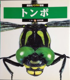 トンボ (講談社パノラマ図鑑 31)