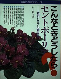 こんなときどうしたら？セントポーリア