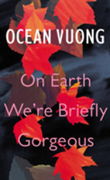 On Earth We're Briefly Gorgeous