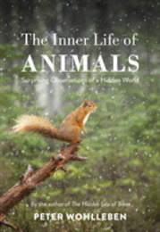 The Inner Life of Animals: Surprising Observations of a Hidden World