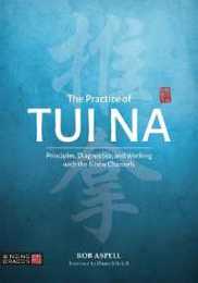 The Practice of Tui Na