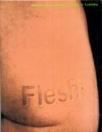 Flesh: Architectural Probes