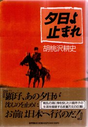 夕日よ止まれ