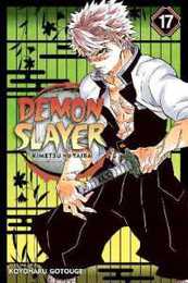Demon Slayer: Kimetsu no Yaiba Vol. 17