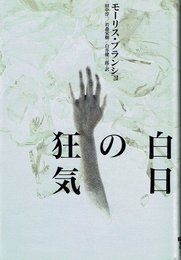 白日の狂気 (ポストモダン叢書 10)