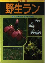 野生ラン カラー版