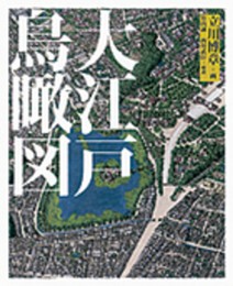 大江戸鳥瞰図