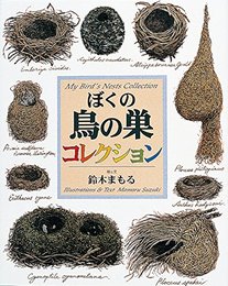 ぼくの鳥の巣コレクション