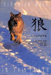 狼: シベリアの牙王