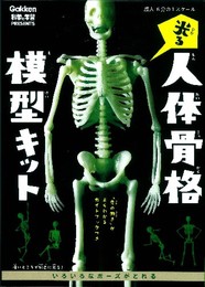 光る!人体骨格模型キット ([バラエティ])