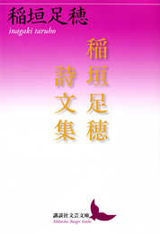 稲垣足穂詩文集 (講談社文芸文庫 いY 1)
