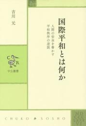 国際平和とは何か - 人間の安全を脅かす平和秩序の逆説 (中公叢書)