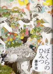 ぼくらのひみつ (想像力の文学)