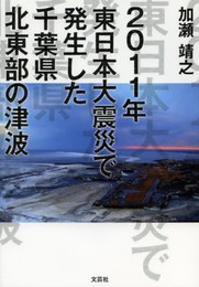 2011年東日本大震災で発生した千葉県北東部の津波