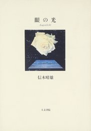 眼の光