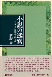 小説の迷宮: ディケンズ後期小説を読む