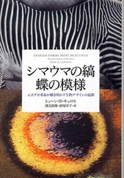 シマウマの縞 蝶の模様 エボデボ革命が解き明かす生物デザインの起源