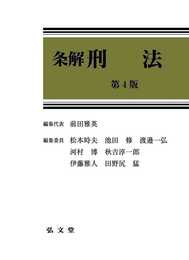 条解刑法 第4版