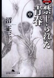 禁じられた青春 中 (幻冬舎アウトロー文庫 O 36-7)