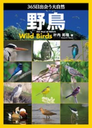 365日出会う大自然 野鳥
