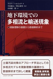 地下環境での多相流と輸送現象: 現象理解の基礎から数値解析まで
