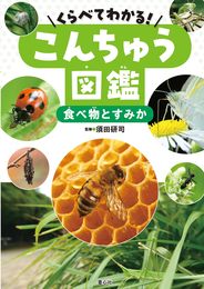 くらべてわかる!こんちゅう図鑑 食べ物とすみか (第4巻)