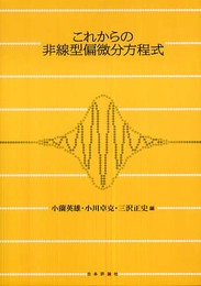 これからの非線型偏微分方程式