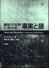 素粒子世界における事実と謎