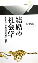 結婚の社会学: 未婚化・晩婚化はつづくのか (丸善ライブラリー 206)