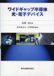 ワイドギャップ半導体光・電子デバイス