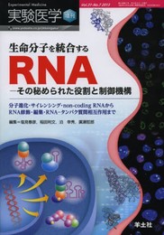 実験医学増刊 Vol.31 No.7 生命分子を統合するRNAーその秘められた役割と制御機構?分子進化・サイレンシング・non-coding RNA からRNA 修飾・編集・RNA―タンパク質間相互作用まで (実験医学増刊 Vol. 31-7)