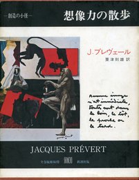 想像力の散歩 (叢書 創造の小径)
