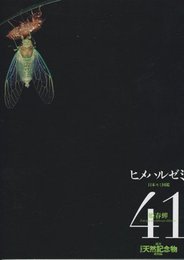 週刊 日本の天然記念物 動物編　ヒメハルゼミ　41　 小学館