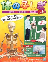 体のふしぎ 2013年 11/6号 [分冊百科]