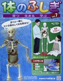 体のふしぎ 2013年 11/20号 [分冊百科]