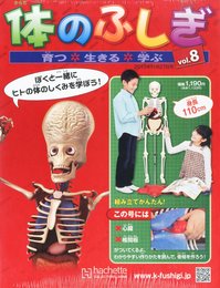 体のふしぎ 2013年 11/27号 [分冊百科]