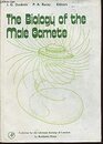 Biology of the Male Gamete