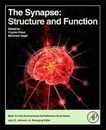 The Synapse: Structure and Function (Neuroscience-net Reference Book)