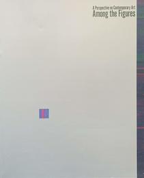 形象のはざまに 現代美術への視点 [図録]