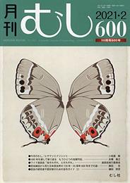 月刊むし 2021年 02 月号 [雑誌]