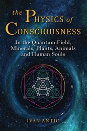 The Physics of Consciousness: In the Quantum Field Minerals Plants Animals and Human Souls