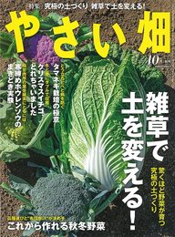 やさい畑 秋号 2021年 10月号